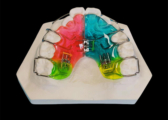 Goede prijs Klinisch bewezen tandheelkundig apparaat, comfortabel orthodontische beugel. online