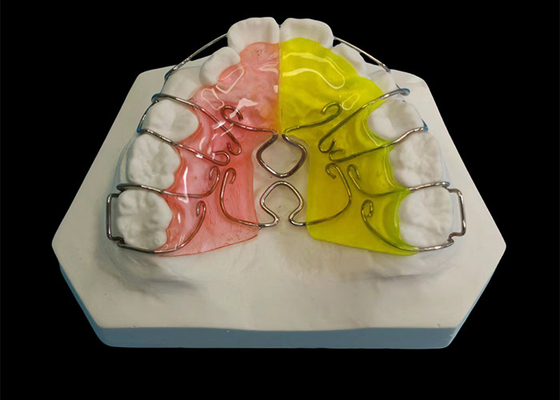 Goede prijs Op maat gemaakte orthodontische verwijderbare apparaten, verstelbare expander orthodontie online