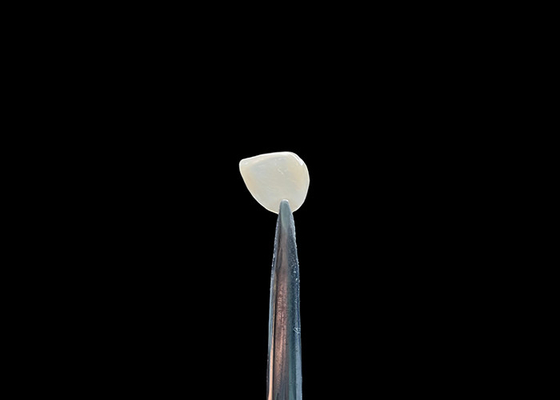 Goede prijs Precision 0.2-0.5mm EMAX Cosmetische tandplakkers Natuurlijke chemische binding online