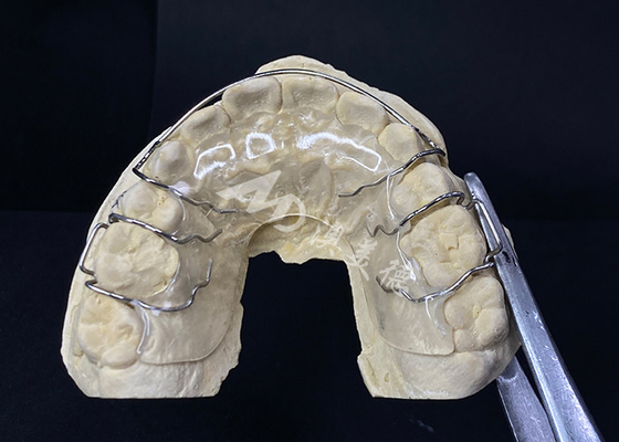 Goede prijs Comfortabel om te dragen de Hawley Retainer van AMD Dental Lab voor veilige en gezonde orthodontie online